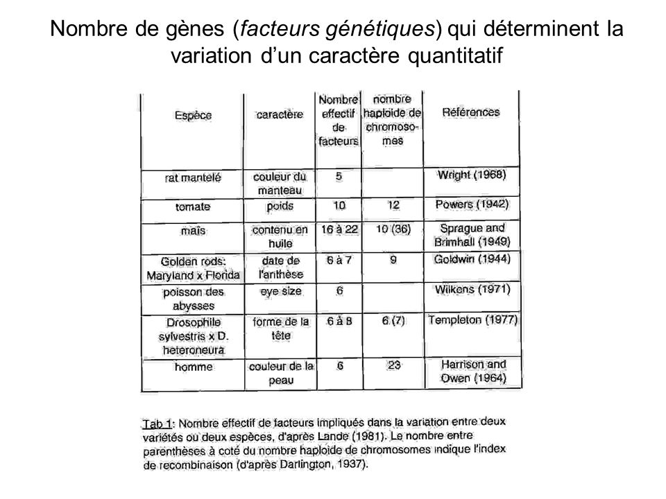 D terminisme g n tique des caract res quantitatifs ppt t l charger